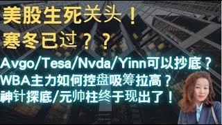 Avgo/Tesa/Nvda/Yinn可以抄底？WBA主力如何控盘吸筹拉高？神针探底/元帅柱终于现出了！我的牛股选股逻辑是什么？