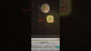 Master Quran Reading with This Simple Tip! l The shadda