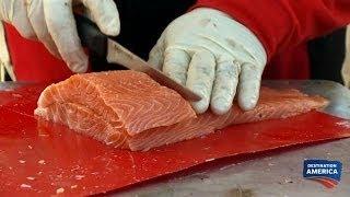 Grilling Salmon the Georgia Way | BBQ Pitmasters