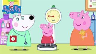 Peppa Pig | Health Check | Peppa Pig Official | Family Kids Cartoon