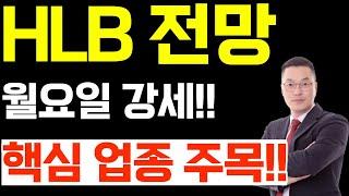 HLB 월요일 강세 기대 핵심 업종 주목!!