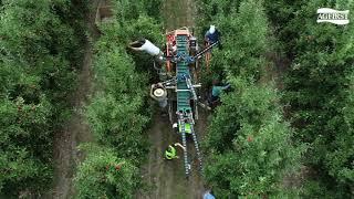 Future Orchards - Platforms for harvest