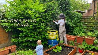 Slow Living Lifestyle  | Gardening, Cooking, and Organizing for Peaceful Days | Silent vlog #24