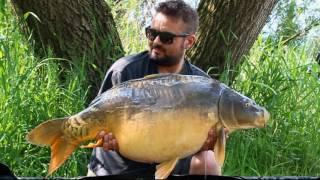 Carp fishing at reservoir Fehérvárcsurgó 2017 - Newzoo CFB