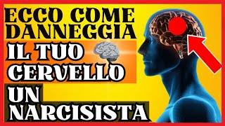  Come l’ABUSO NARCISISTICO DANNEGGIA il CERVELLO | Psicologia e Recupero 