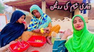 Hamari Sham Ki Routine || Village Life Mud House Family Vlogs || Happy Village Family