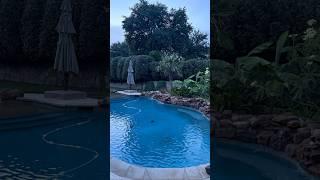 Extended Shrub Trimming
