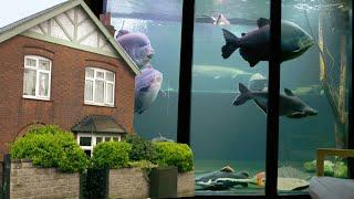 This Is England's Largest Home Aquarium