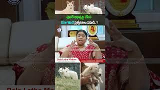 #direwolf #dna #america #scientist #redevelopment #news #newsupdate #ytshorts #balalathamallavarapu