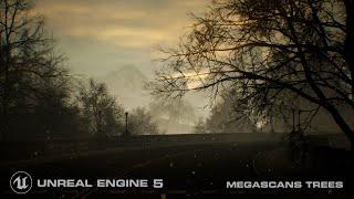 Unreal Engine 5 | The Road Less Traveled | Megascans Trees