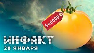 Новый герой Apex Legends, Корабль за $40000 в EVE Online, анонс Torchlight III, Ghost in the Shell…