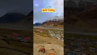 A MUST VISIT PLACE IN SPITI VALLEY, LOSAR #shorts #viral #viralvideo #losar #spiti #travel #snow