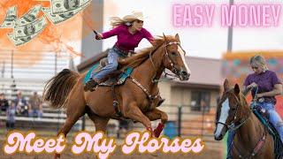 Meet My Horses - Easy Money