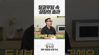 달걀푸딩 속 설탕의 효과