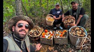 Porcini neri ed Amanita Caesarea. "Passione per i funghi e amicizia. Questi siamo noi".