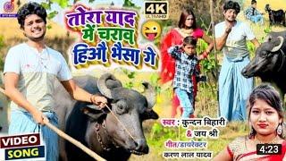 video#तोरा याद में चरब हिऔ भैंस गेll kundan bihari ka maghi song