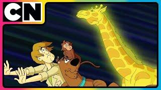 Scooby Doo | Gang’s Faceoff with Octoagle! | Compilation | 90s Cartoon | @cnindia