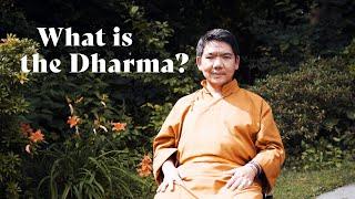 What is the Dharma? | Serkong Rinpoche