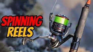 Best Spinning Reels 2024 [Fishing for All Anglers]