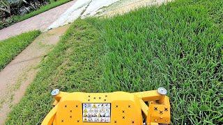 Mowing and Mulching St Augustine Ditches POV Operator's View