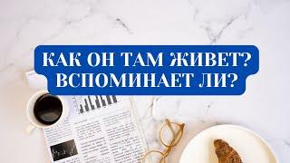 КАК ОН ЖИВЕТ? ВСПОМИНАЕТ ЛИ?