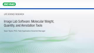 Image Lab Software: Molecular Weight, Quantity and Annotation Tools