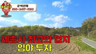 세종시 최고의 입지 임야 투자에 관심있으시분들 꼭 보세요