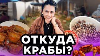 ОТКУДА Крабы ?с Рисового Поля From Where to Crabs? From Rice Field