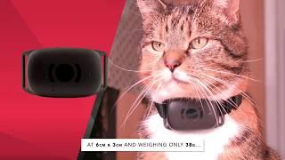 MiniFinder Atto - GPS Tracker for cats