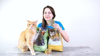 Taste of the Wild Cat Food Review