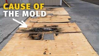 We traveled 3,000 miles to get a NEW RV ROOF and find out what had caused the MOLD.