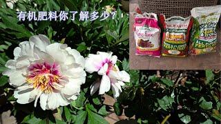 有机肥料进阶版笔记-你了解里面的成分吗？Advanced Notes on Organic Fertilizer - Do You Know What's Inside?