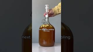 HOW TO MAKE APPLE SPICE MEAD START TO FINISH