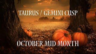 TAURUS/ GEMINI CUSP~ THINGS WILL BE MOVING SMOOTHER THAN YOU EXPECTED!