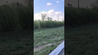 Сегодня в Рудном ветрено ч.1