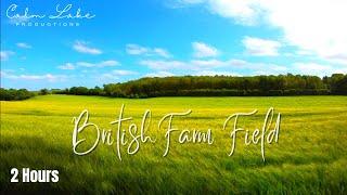 Farm Field Background Video with Windy Green Grass | British Countryside - Calm Relaxing Music