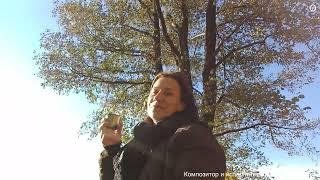 Финский залив.Звучание шума волн.Закат. Музей - квартира М.М.Зощенко.Дождь.