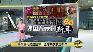 外国人喜爱练武术、舞龙、看春晚      农历新年正走向全世界   | 八点最热报 02/02/2025