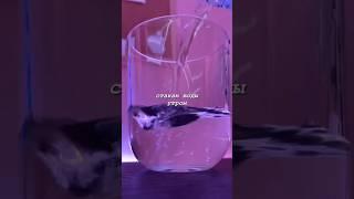 Полезные Привычки, Которые Изменят Жизнь #привычки #полезныесоветы