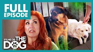 No Washing and Lots of Pooping Causes a Stink! | Full Episode USA | It's Me or The Dog