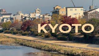 Autumn in Kyoto   Pt. 2 - lots of food  (Genkoan Temple, Nishiki Market, Pontocho, Gion, etc.)