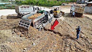 Day6| 5ton Truck Stuck Again, Whole Work Achieved 35%, Dozer Pushing Soil Stone Komatsu D31P