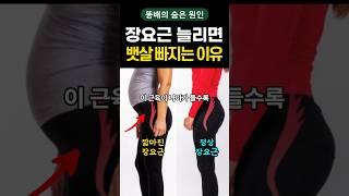 뱃살 빼려면 장요근을 풀어야 하는 이유! #뱃살제거 #건강 #건강정보 #장요근 #스트레칭