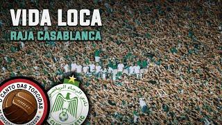 Vida Louca / Somos Curva Sud - Nova música da torcida do Raja Casablanca [Legendado]