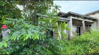 Eye-catching transformation of an overgrown abandoned house Clean the house clean