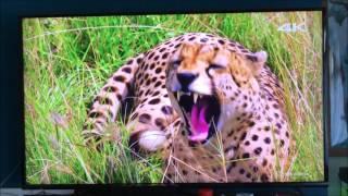 VIRGIN MEDIA V6 IS IT WORTH IT ?