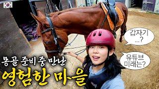 유튜브 미래 예언? 몽골 캠핑 준비 중 발견한, 이천의 신묘한 타로마을 ::: 국내(6)