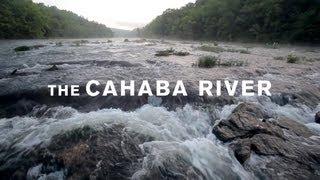 The Cahaba River