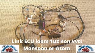 Universal CartuneNZ Link ECU single plug wiring loom.  Monsoon or Atom