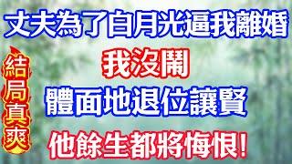 丈夫為了白月光逼我離婚，我沒鬧，體面地退位讓賢，他餘生都將悔恨！